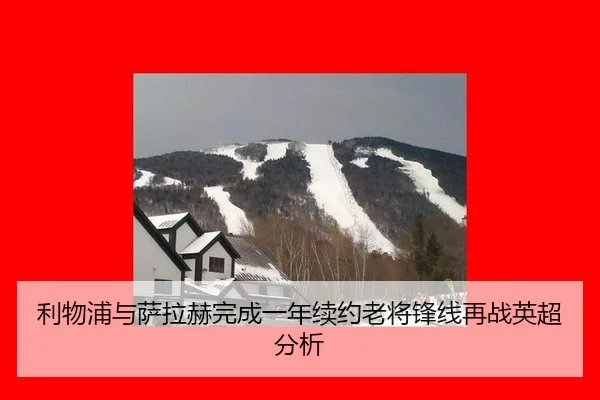 li-wu-pu-yu-sa-la-he-wan-cheng-yi-nian-xu-yue-lao-jiang-feng-xian-zai-zhan-ying-chao-fen-xi-2-919.jpg